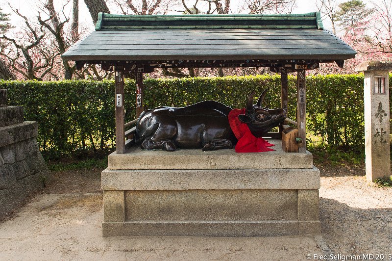 20150313_132453 D4S.jpg - Students flock here to pray for good grades especially during exams.  The bull is a symbol of health.